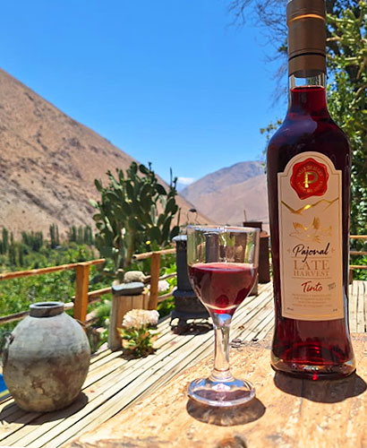 Viña Piuquenes Elqui