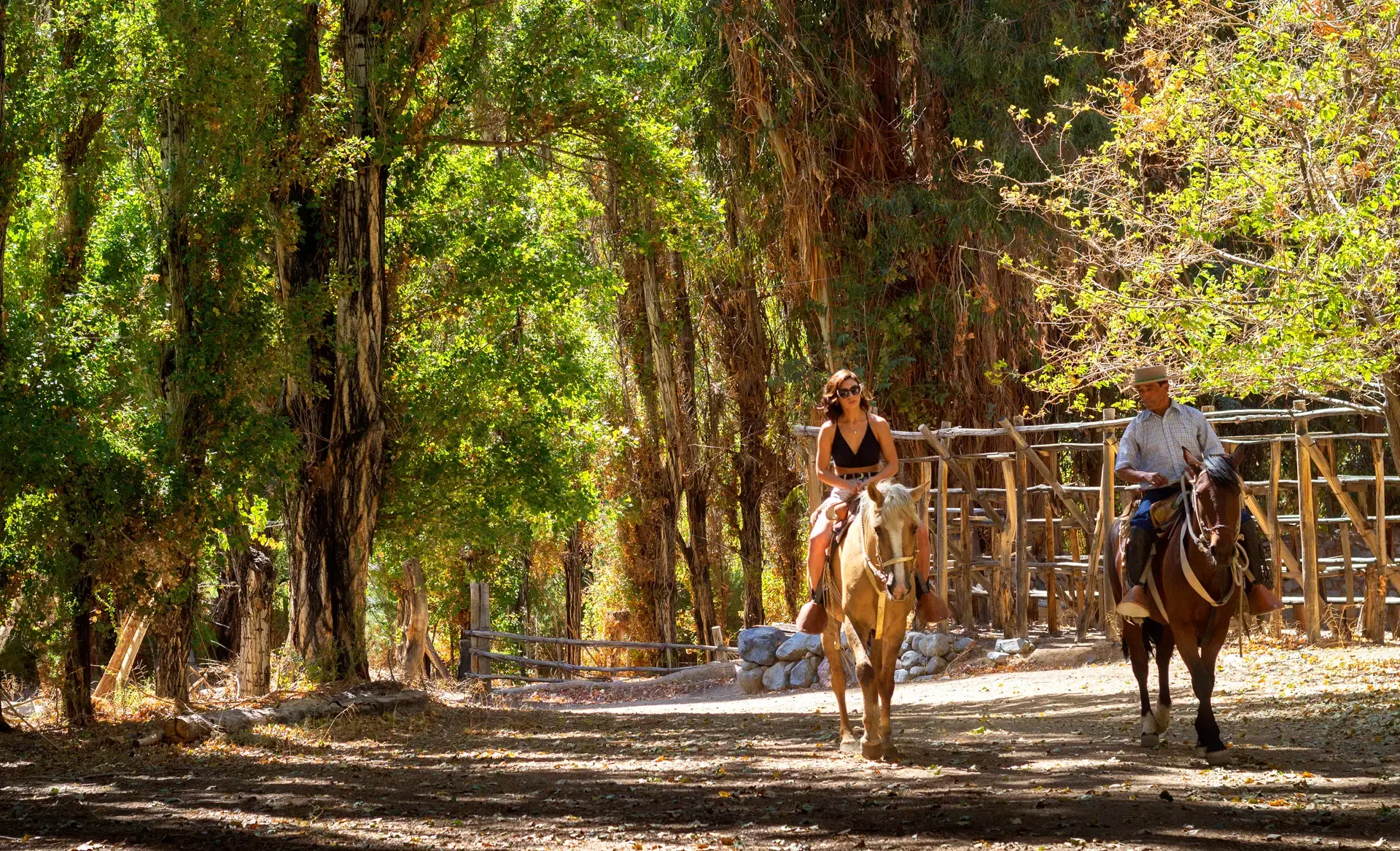Cabalgata en el entorno de Casona Distante, Valle de Elqui
