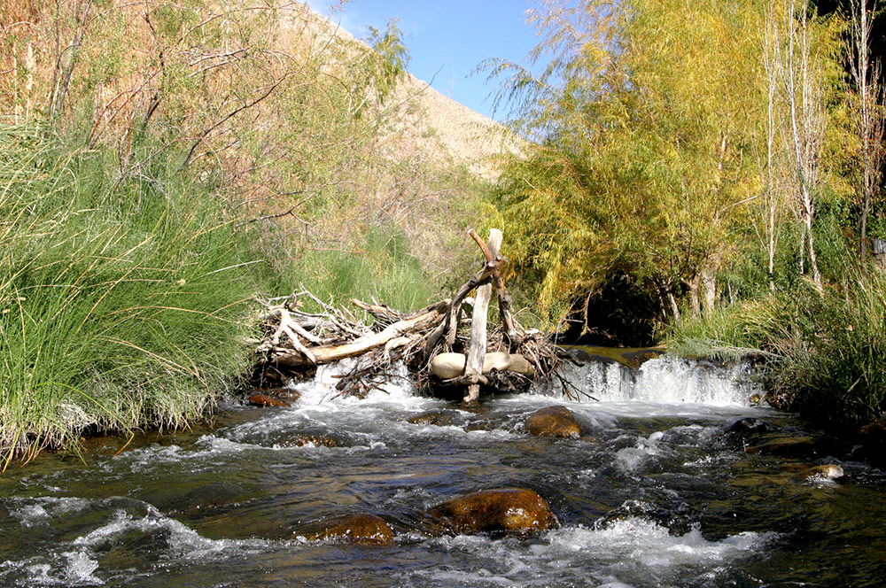 Conecta con la Naturaleza del Valle